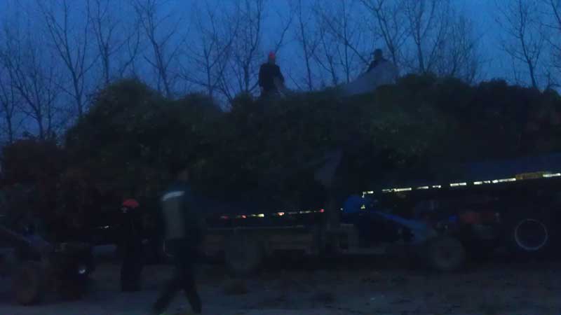 装车工人准备盖上雨布准备发车